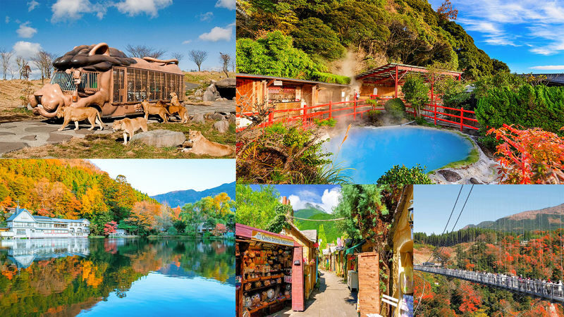 Hells of Beppu & Yufuin Day Trip - What to know before you book
