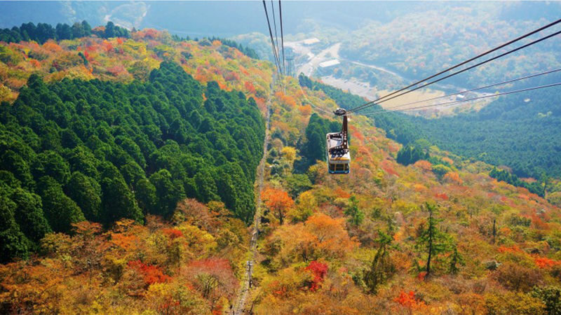 Hells of Beppu & Yufuin Day Trip - The driver makes or breaks the day