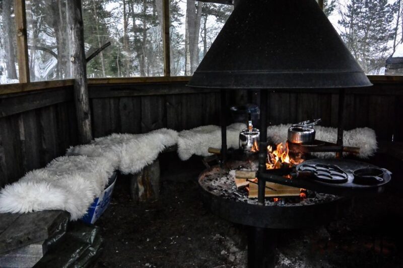Helsinki: Arctic Hovercraft Experience with Lunch - Why This Tour Offers Good Value