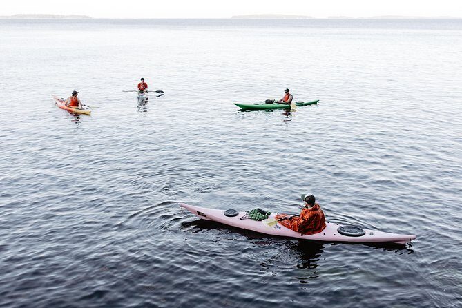 Helsinki by Kayak - An In-Depth Look at Helsinki by Kayak