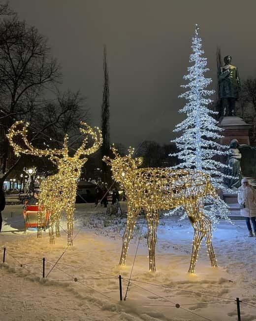 Helsinki: Christmas Walking Tour with Market Visit - Analysis of Value