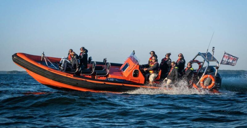 Helsinki: City and Outer Islands Guided RIB Boat Tour - The Helsinki Skyline from the Water