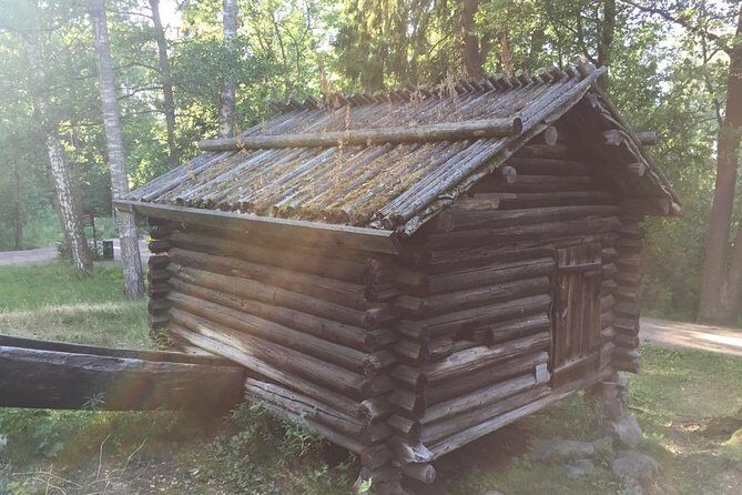 Helsinki city sightseeing and Seurasaari Island - Who Should Consider This Tour?