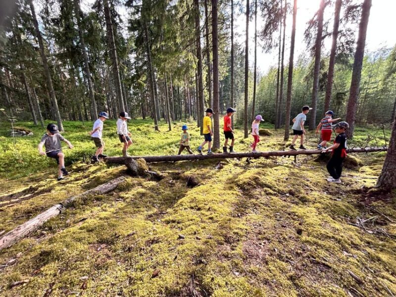 Helsinki: Guided Nature Experience with Campfire and Meal - The Experience in Detail