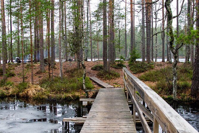 Helsinki: Nuuksio National park hiking with campfire lunch - Why This Tour Stands Out