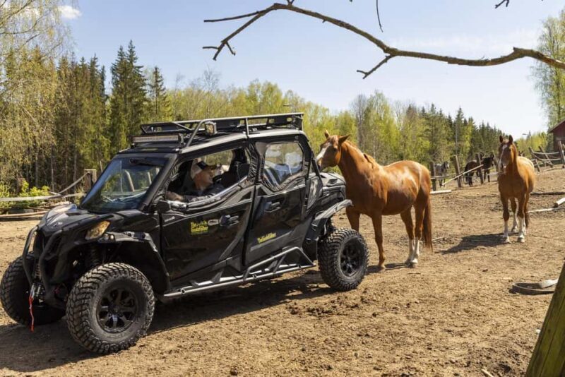 Helsinki: Reindeer Park and Horse Stable Private Tour - Frequently Asked Questions