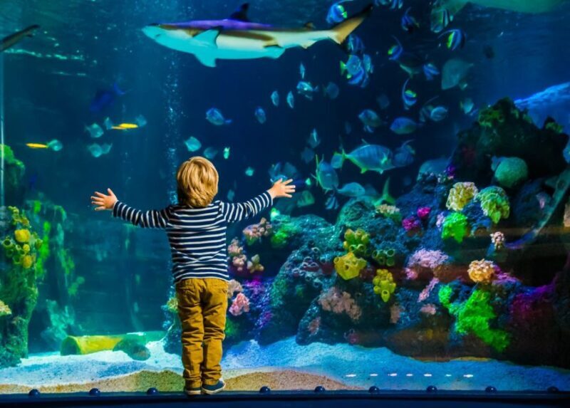 Helsinki: Sea Life Entrance Tickets - FAQ