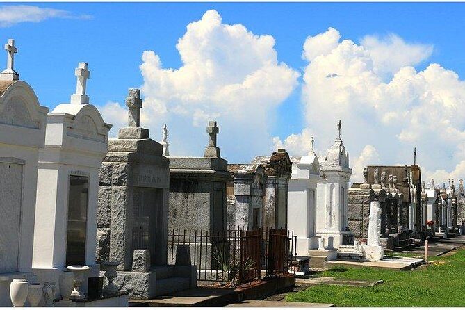 Henley's Private Tours - Guest say "Thoroughly Recommended" - A Deep Dive into the Tour Experience