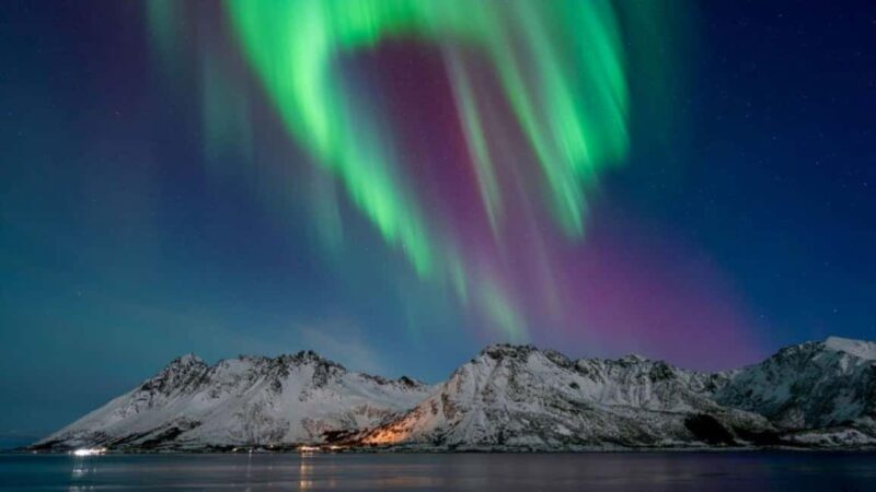 Henningsvær: Northern Lights Tour with Photographer - Key Points