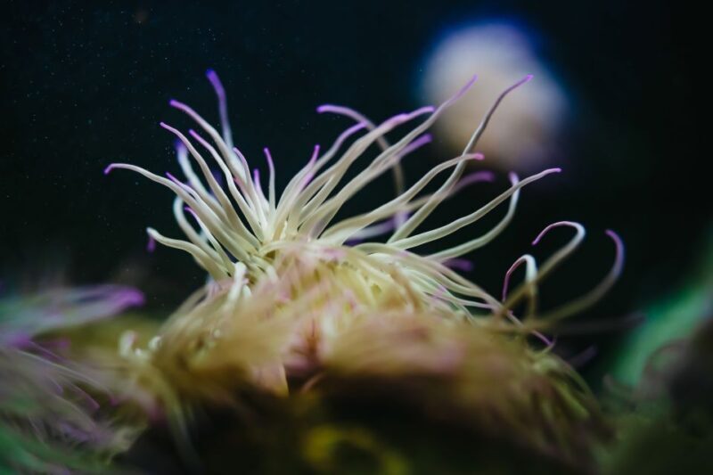 Heraklion Area: CRETAquarium Admission Ticket - The Sum Up