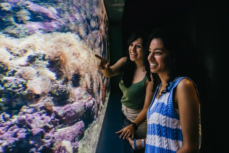 Heraklion Area: CRETAquarium Admission Ticket - FAQ
