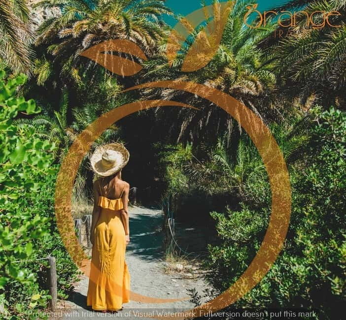 Heraklion Areas : Preveli Beach & Palm Forest Full-Day Tour - An In-Depth Look at the Preveli Beach & Palm Forest Tour