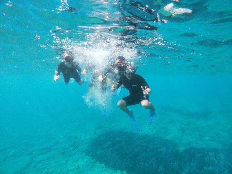 Heraklion: Beginner-Friendly Snorkeling Trip - An In-Depth Look at the Snorkeling Experience in Crete