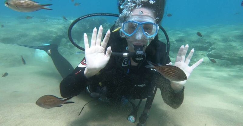 Heraklion: Beginner Scuba Diving Lesson with PADI Instructor - Heraklion: Beginner Scuba Diving Lesson with PADI Instructor — A Practical Look