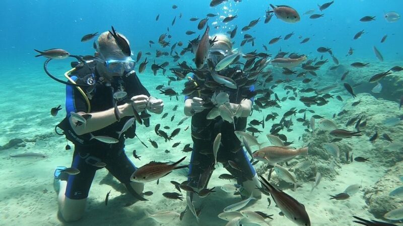 Heraklion: Beginner Scuba Diving Lesson with PADI Instructor - Authentic Experiences & Review Highlights