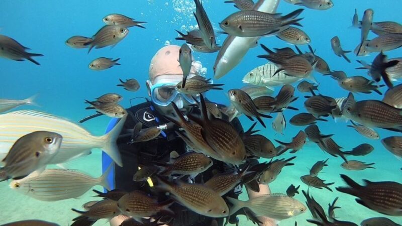 Heraklion: Beginner Scuba Diving Lesson with PADI Instructor - Who Should Consider This Tour?