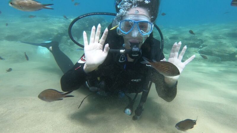 Heraklion: Beginner Scuba Diving Lesson with PADI Instructor - Frequently Asked Questions