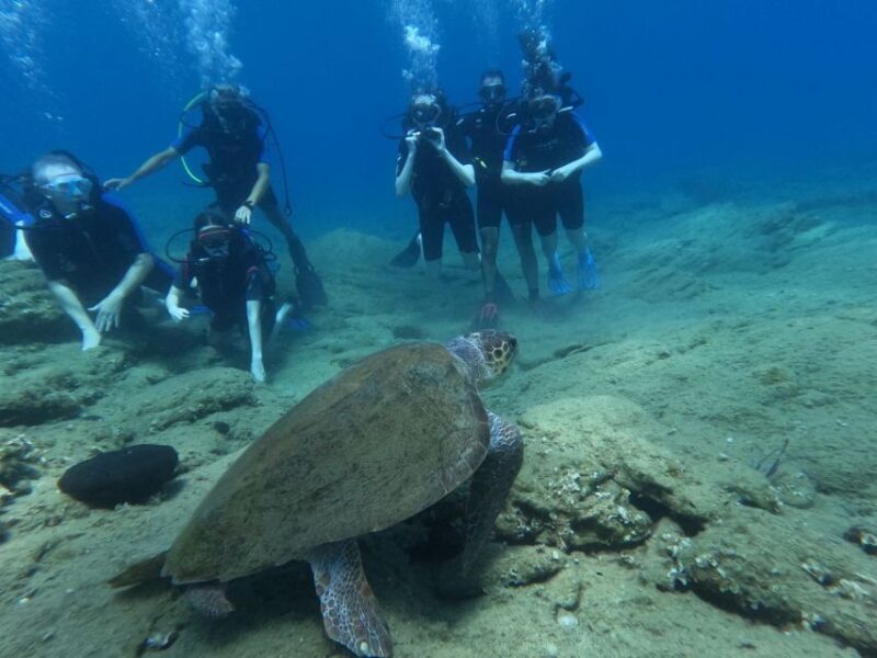 Heraklion: Beginner's intro dive w/2 Dives with transfer. - Heraklion: Beginners Intro Dive with 2 Dives and Transfer — A Practical Exploration of Crete’s Underwater Charm