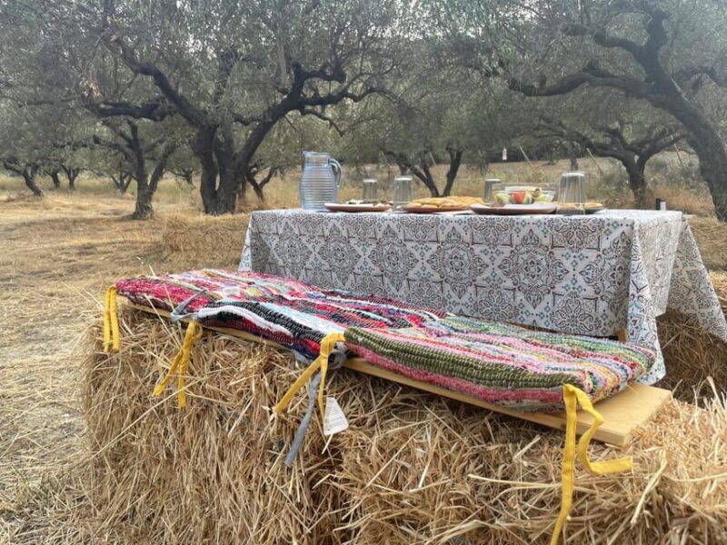 Heraklion: Cretan Farmers Brunch and Olive Grove Tour - Key Points