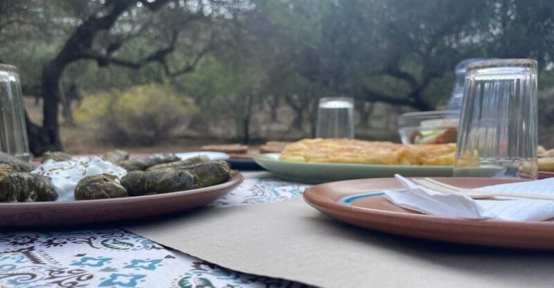 Heraklion: Cretan Farmers Brunch and Olive Grove Tour - Final Thoughts: Who Should Book This Experience?
