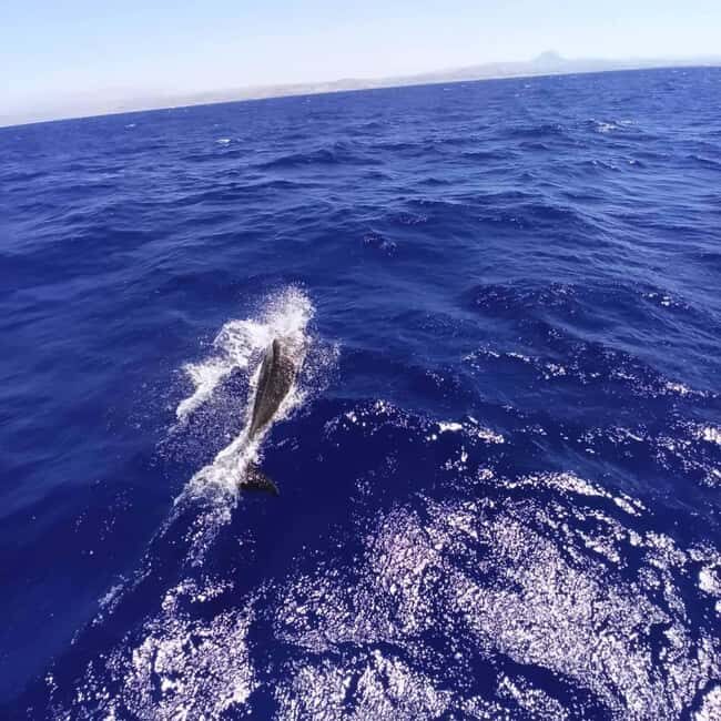 Heraklion: Dia Island Sailing Trip with Lunch - Frequently Asked Questions