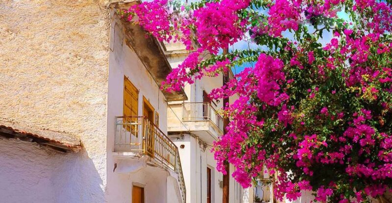 Heraklion: Eastern Crete Highlights Shore Private Tour - Who Would Enjoy This Tour?