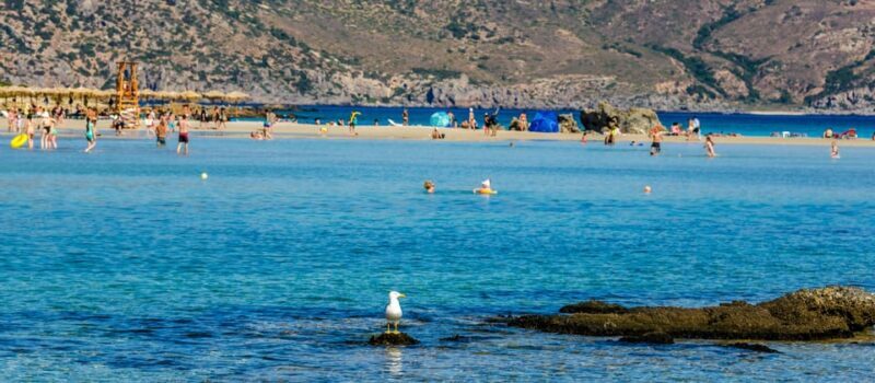 Heraklion: Elafonisi Beach: Discover the Pink Sand Paradise - The Itinerary in Detail