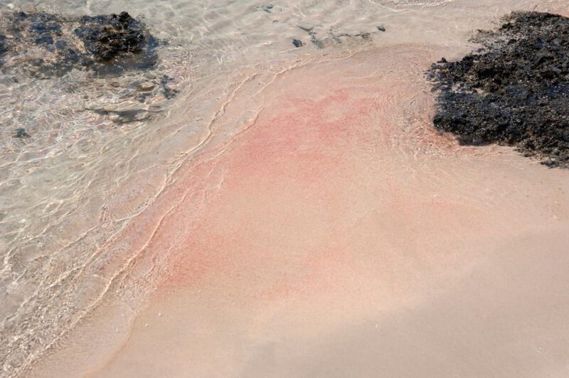Heraklion: Elafonisi Beach: Discover the Pink Sand Paradise - Practical Considerations