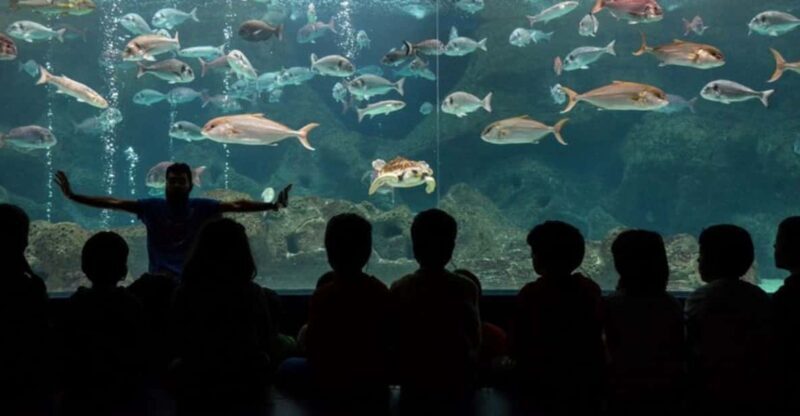 Heraklion: Family Fun Day with Dinosauria and CRETAquarium - Why This Tour Offers Good Value