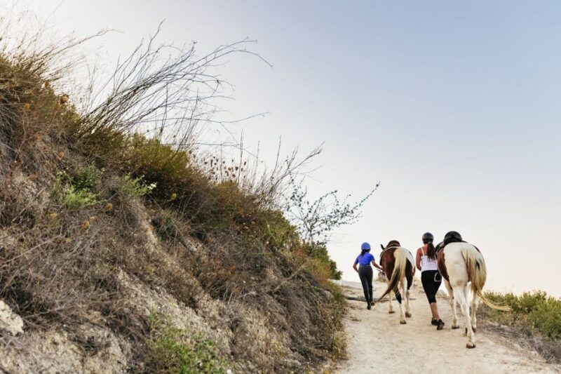 Heraklion: Finikia Horse Riding Tour with Lunch or Dinner - Who Should Consider This Tour