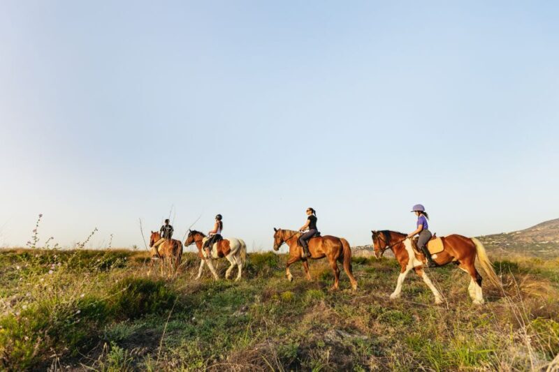 Heraklion: Finikia Horse Riding Tour with Lunch or Dinner - Final Thoughts
