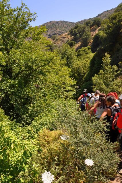 Heraklion: Full Day to Rihti Waterfalls, Mochlos, Azoria - Who Will Love This Tour?