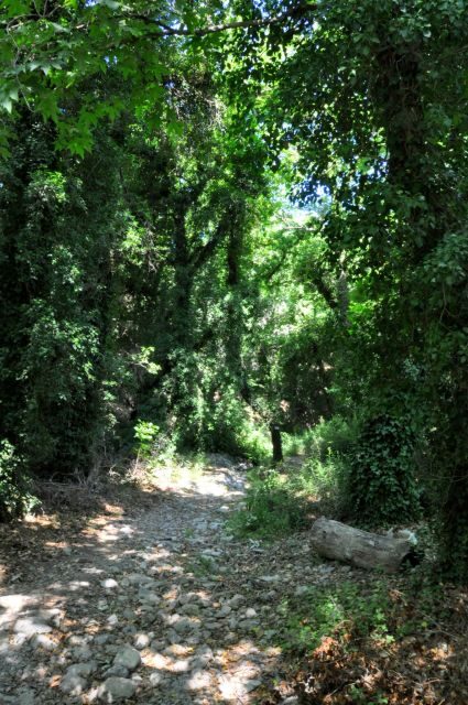 Heraklion: Full Day to Rihti Waterfalls, Mochlos, Azoria - FAQ