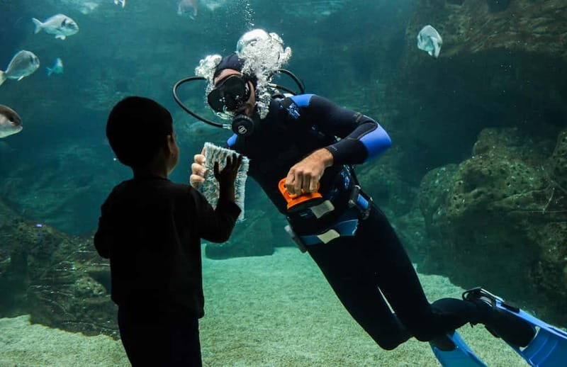 Heraklion: Heraklion Market & CretAquarium *SKIP The Line - Final Thoughts