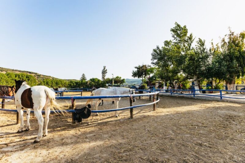 Heraklion: Horse Ride in the Cretan Mountains - The Sum Up