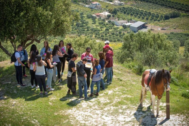 Heraklion: Horseriding Day Tour with Lunch and Transfer - Key Points