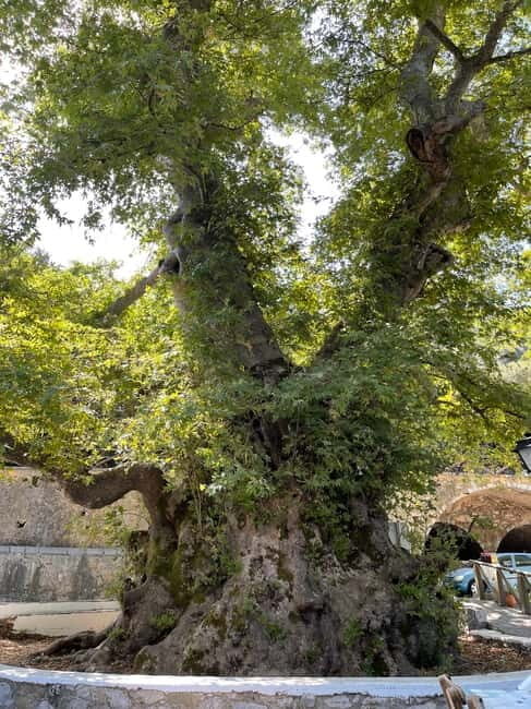 Heraklion: Knossos, Zeus, Villages & Olive Oil Factory Tour - Who Is This Tour Best For?