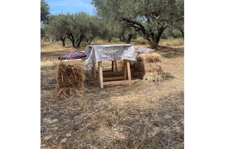 Heraklion :Olive & Dragon Farm Tour & Cretan Farmers Brunch - Heraklion: Olive & Dragon Farm Tour & Cretan Farmers Brunch — A Deep Dive