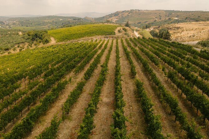 Heraklion Private Half-Day Gastronomy Diaries Experience in Lyrarakis Winery - Who Should Consider This Tour?