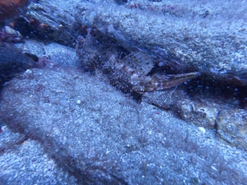 Heraklion: Scuba Diving Experience for Beginners - The Itinerary: Step-by-Step