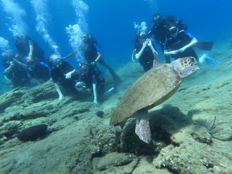 Heraklion: Scuba Diving Experience for Beginners - The Sum Up: Who Should Book This?