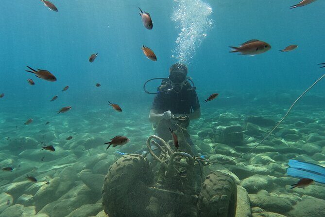 Heraklion: Scuba Diving Experience for Beginners - Key Points
