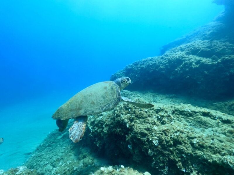 Heraklion: Scuba Diving Experience for First-Timers - A Closer Look at the Itinerary and Experience