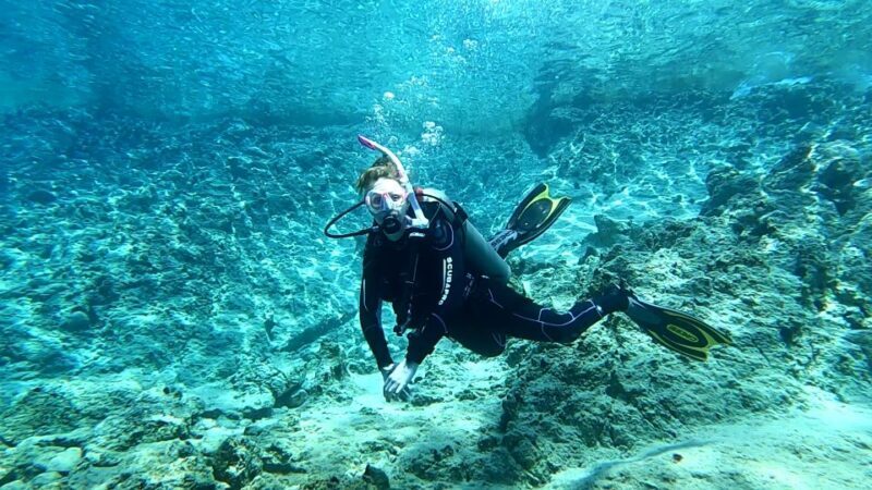 Heraklion: Scuba Diving trip for certified divers - Heraklion: Scuba Diving Trip for Certified Divers — A Deep Dive into Crete’s Underwater Charm