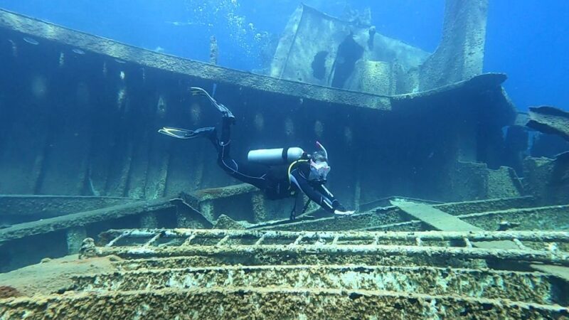 Heraklion: Scuba Diving trip for certified divers - Detailed Dive Site and Marine Life
