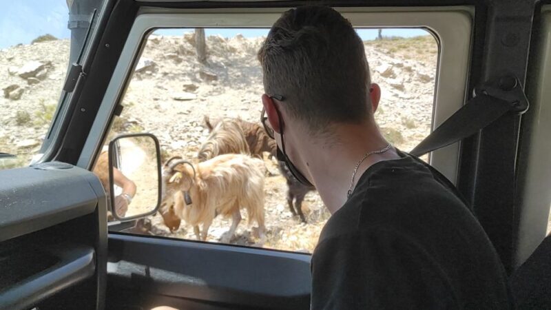Heraklion: Self-Driving 4X4 Jeep Off-Road Tour with Lunch - Key Points