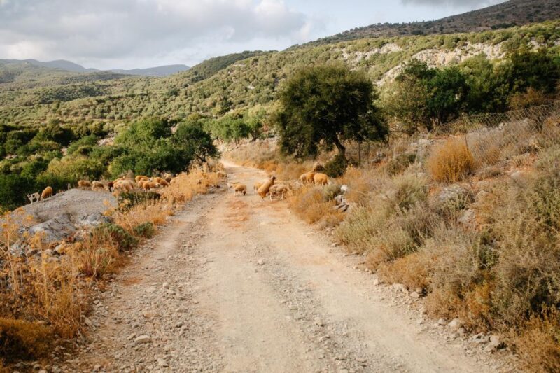 Heraklion: Self-Driving 4X4 Jeep Off-Road Tour with Lunch - Final Thoughts