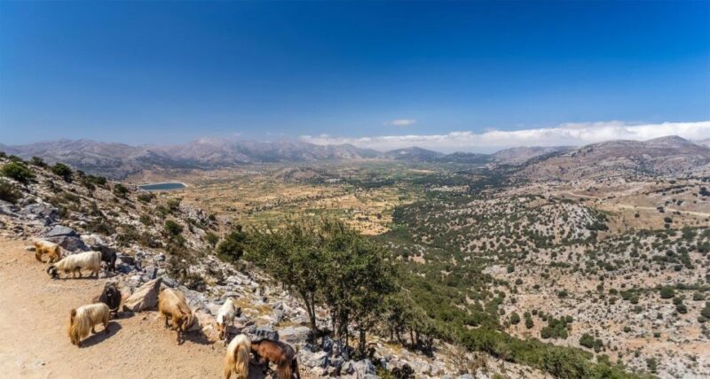 Heraklion: Sunset Safari with Dinner & Prosecco - Heraklion: Sunset Safari with Dinner & Prosecco