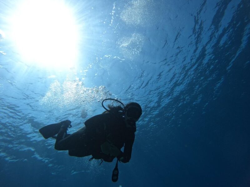 Heraklion: Try Scuba Diving For Beginners (1 dive) - In-Depth Look at the Experience