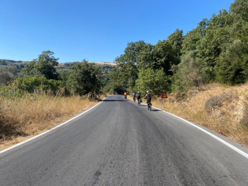 Heraklion: Wine Tasting E-Bike Tour - Final Thoughts